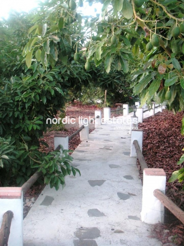 Excelente villa entre Nerja y Frigiliana 