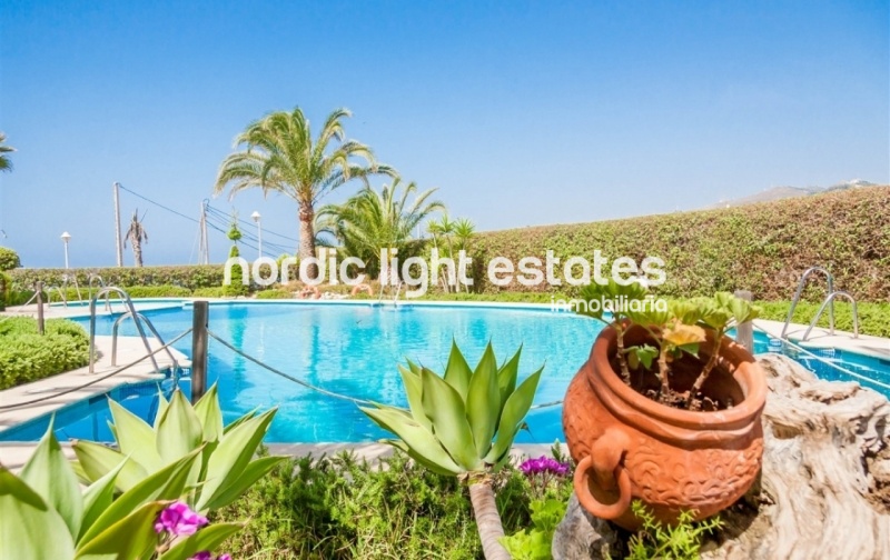 Similar properties Splendid beach front apartment for winter rental