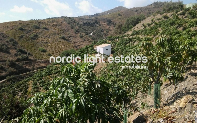 Similar properties Country house in Vélez Málaga