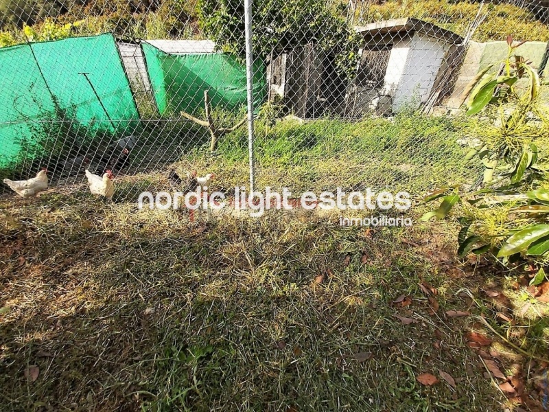 Propiedades similares Amplia villa de campo cerca de Nerja