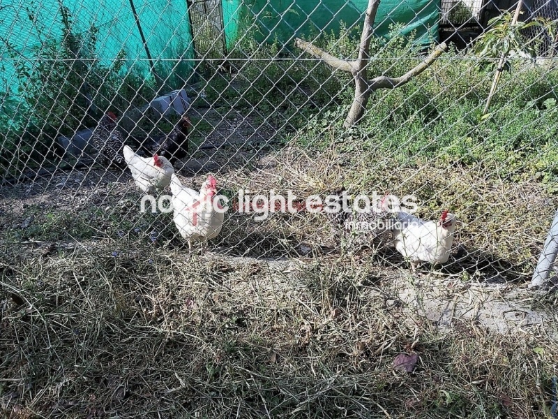 Propiedades similares Amplia villa de campo cerca de Nerja
