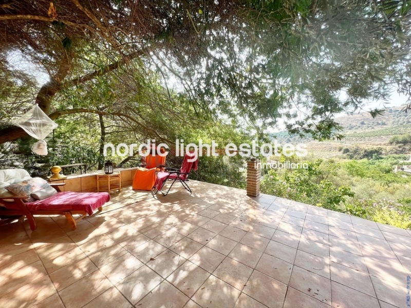 Huge complex of 5 properties