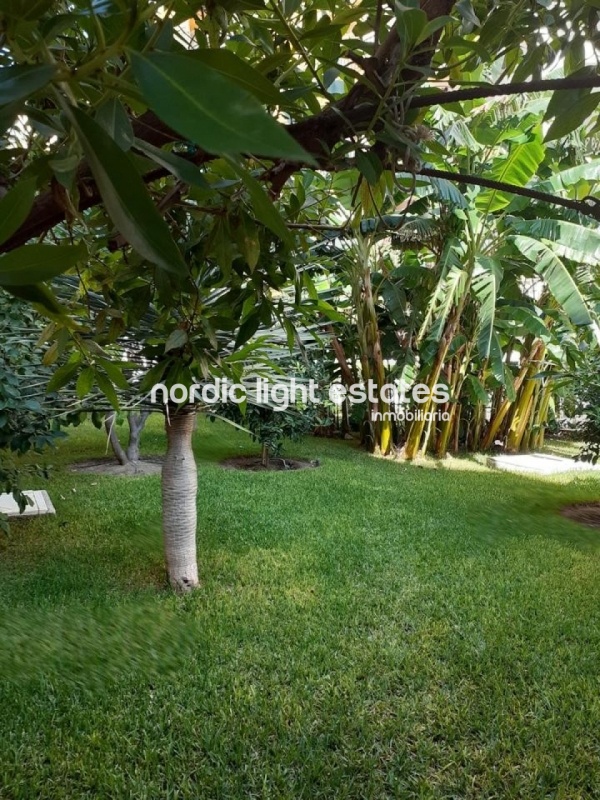 Apartment in Nerja 