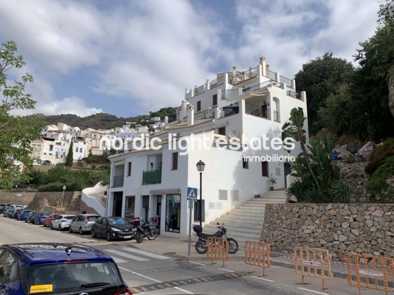 Apartment in Frigiliana 