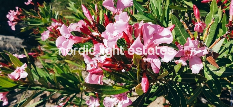 Two bedroom apartment Torrox Costa