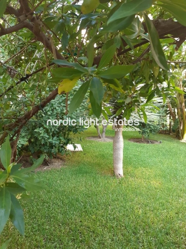 Apartamento segunda línea de la playa Torrecilla