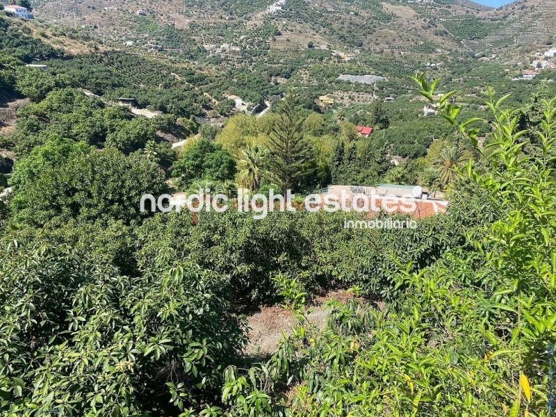 Propiedades similares Gran casa de campo con un terreno de 4.000m2