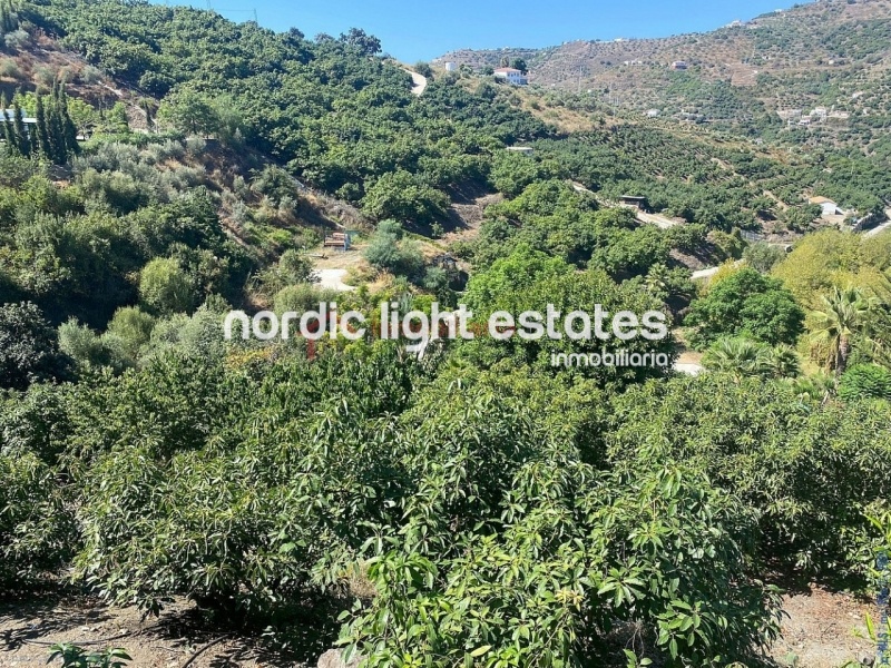 Propiedades similares Gran casa de campo con un terreno de 4.000m2