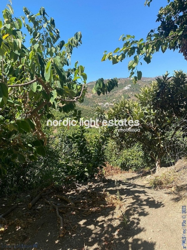 Propiedades similares Gran casa de campo con un terreno de 4.000m2