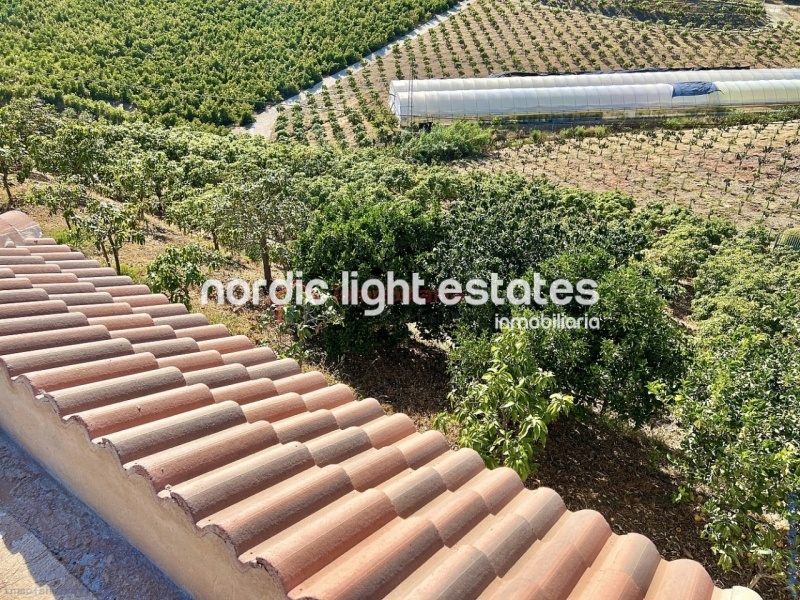 Propiedades similares Linda casa de campo con 500 mangos