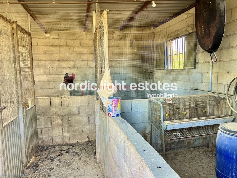 Propiedades similares Linda casa de campo con 500 mangos
