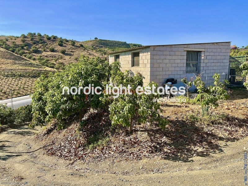 Propiedades similares Linda casa de campo con 500 mangos