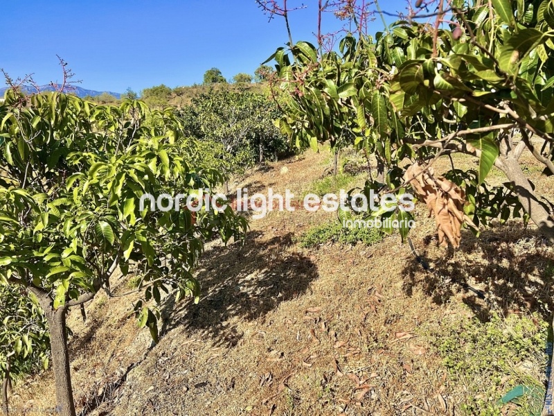 Propiedades similares Linda casa de campo con 500 mangos