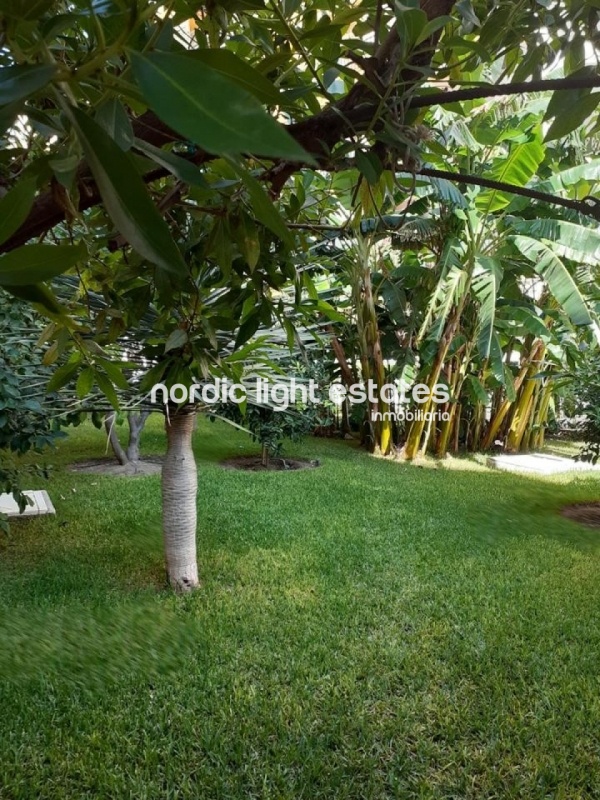 Encantador apartamento completamente renovado, junto a la playa de Torrecilla