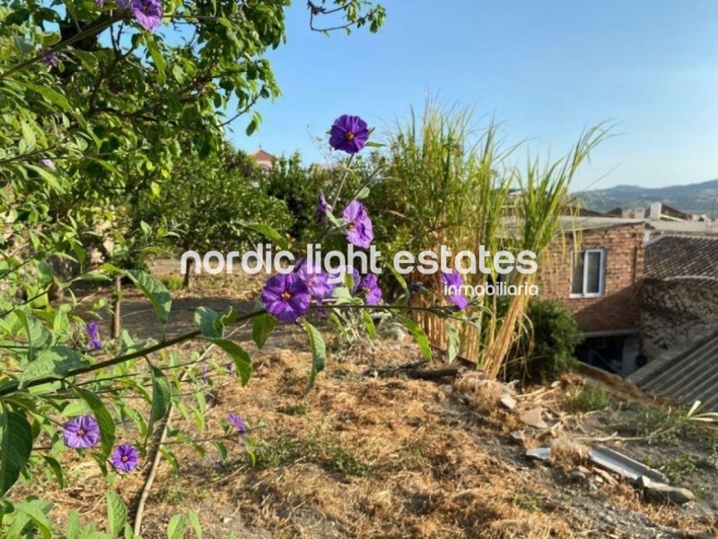 Gran casa con un terreno de 1000m2 en el casco antiguo de Vélez-Málaga
