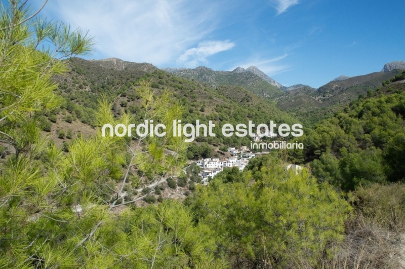 Propiedades similares Excelente casa para Bed & Breakfast en Acebuchal