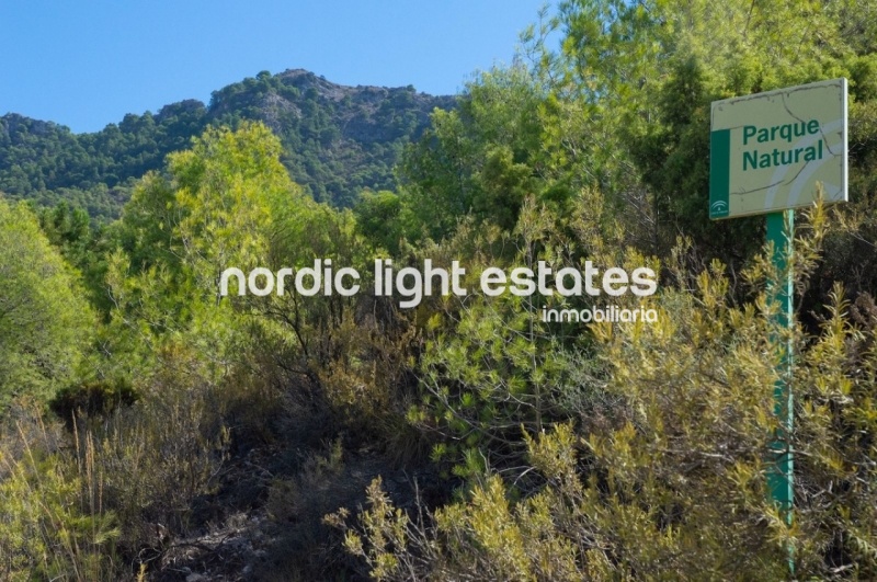 Propiedades similares Excelente casa para Bed & Breakfast en Acebuchal