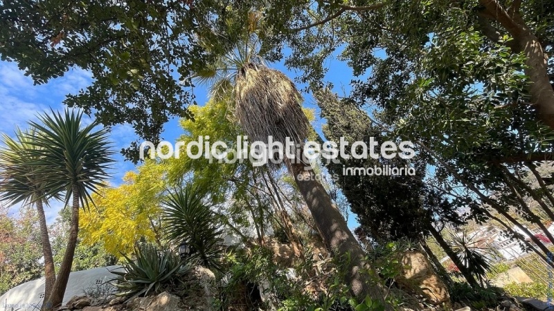 Exclusiva finca con 3 casas a solo 500 metros de Frigiliana
