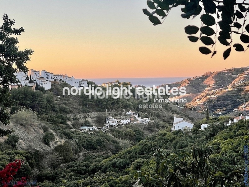 Exclusiva finca con 3 casas a solo 500 metros de Frigiliana
