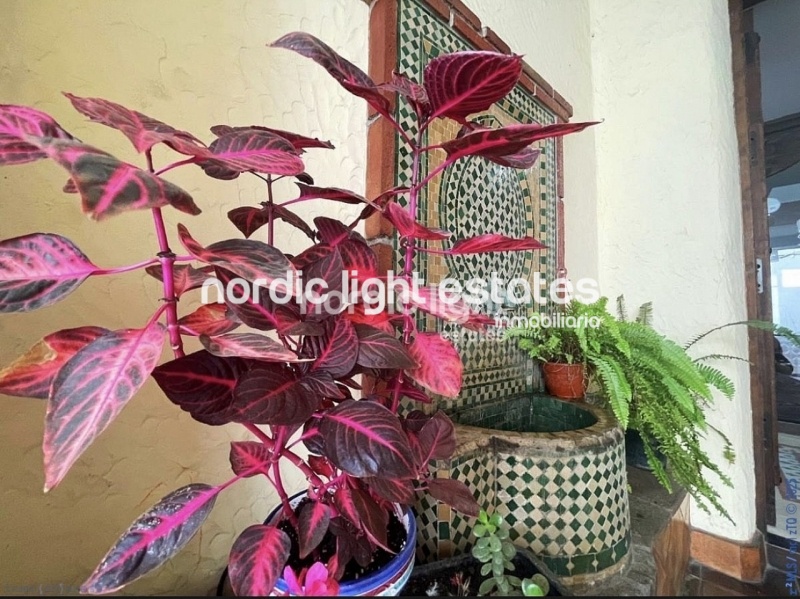 Hotel 9 dormitorios, 9 baños en Torrox