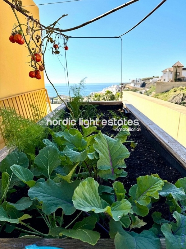 Elegante villa independiente en una sola planta en El Peñoncillo, Torrox Costa