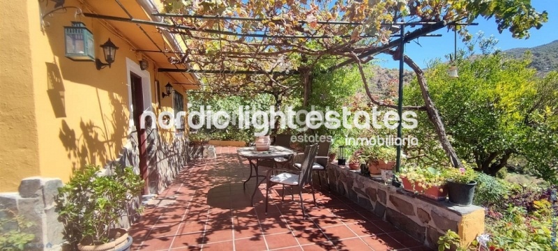 Cosy country house on a plot of 9000 sqm with avocado production and many different fruit trees