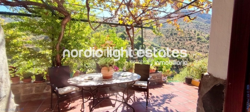Cosy country house on a plot of 9000 sqm with avocado production and many different fruit trees