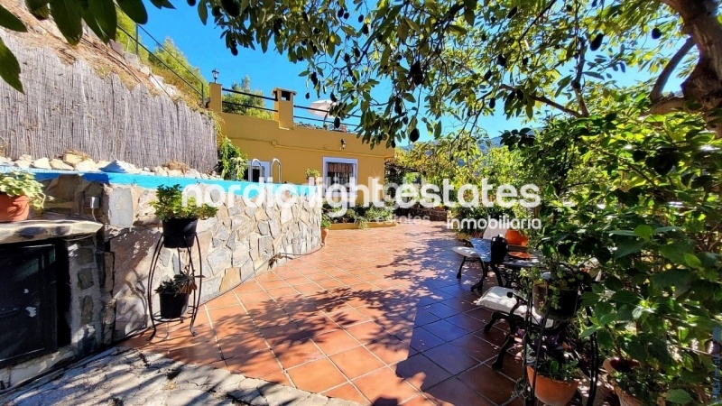 Cosy country house on a plot of 9000 sqm with avocado production and many different fruit trees