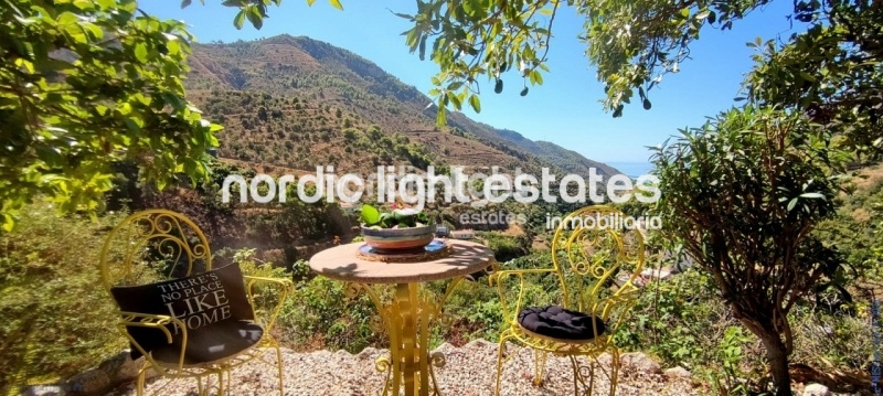 Cosy country house on a plot of 9000 sqm with avocado production and many different fruit trees