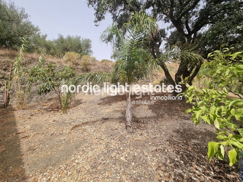  Lovely and large countryhouse in Canillas de Aceituno