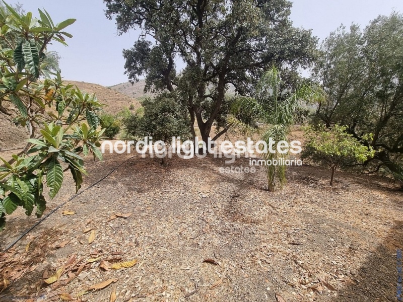 Lovely and large countryhouse in Canillas de Aceituno