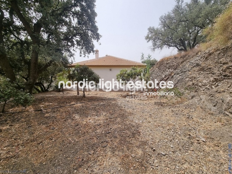  Lovely and large countryhouse in Canillas de Aceituno