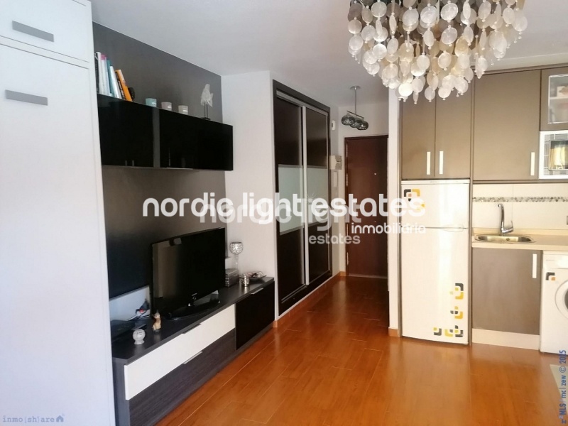 Lovely studio with spacious terrace in Caleta de Vélez