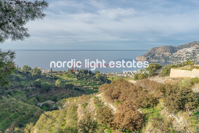Stunning country villa plenty of land and fruit trees in La Herradura