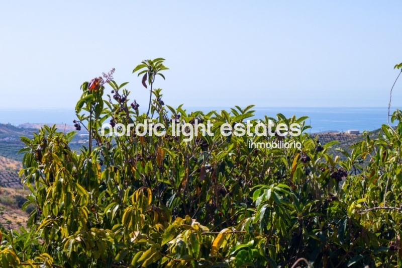 Country house with fantastic panorama sea view in Almayate Alto
