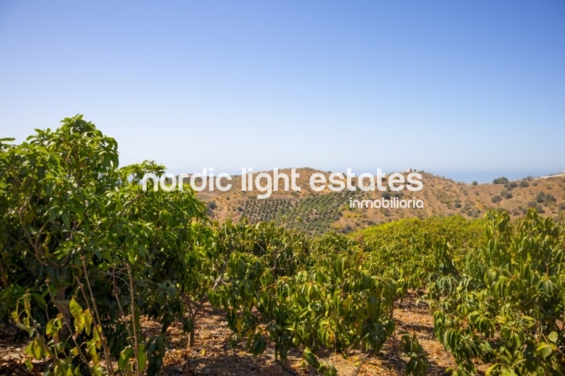 Country house with fantastic panorama sea view in Almayate Alto