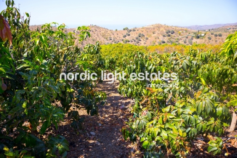 Country house with fantastic panorama sea view in Almayate Alto