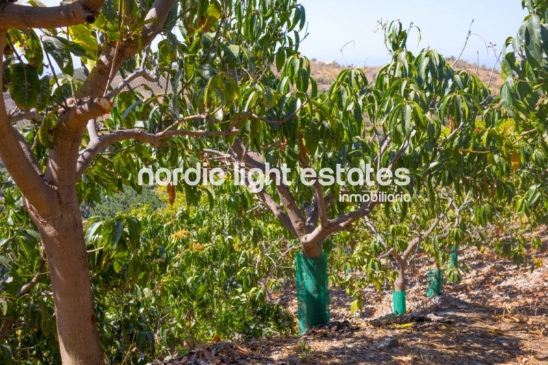 Country house with fantastic panorama sea view in Almayate Alto