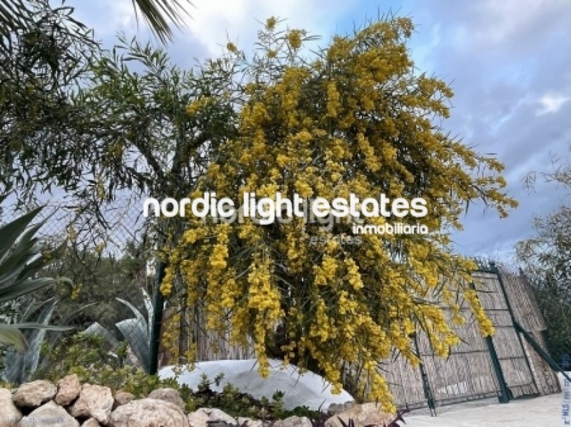 Exclusiva finca con 3 casas a solo 500 metros de Frigiliana