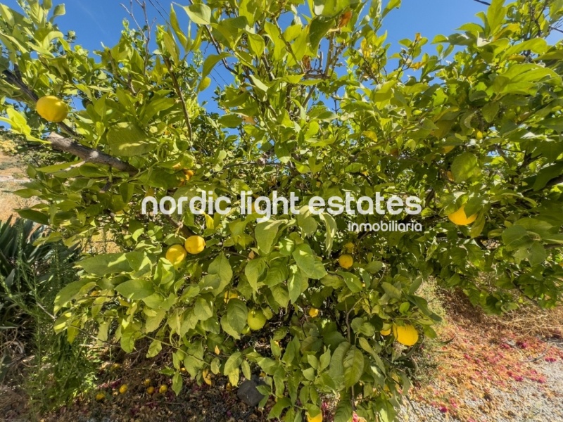 Charming country house in Torrox Costa