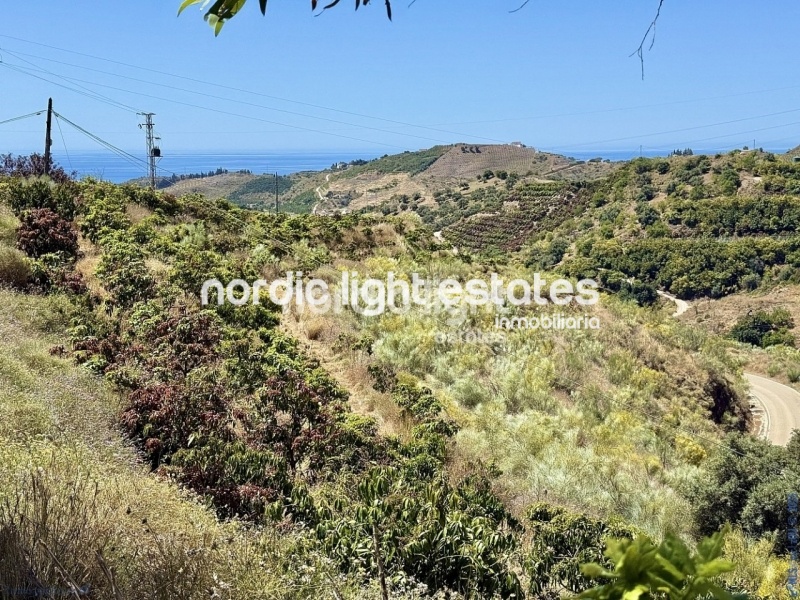 Espléndida fina rústica con gran casa 5 dormitorios