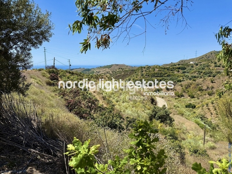 Espléndida fina rústica con gran casa 5 dormitorios