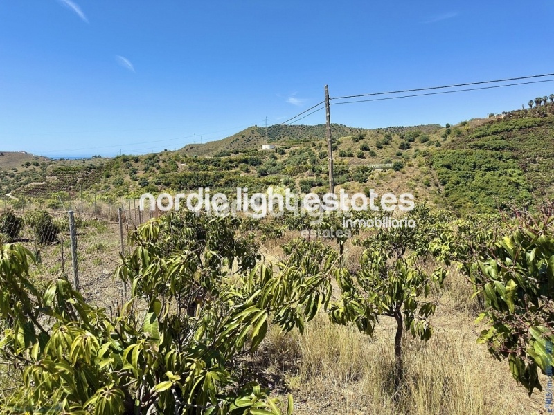 Espléndida fina rústica con gran casa 5 dormitorios