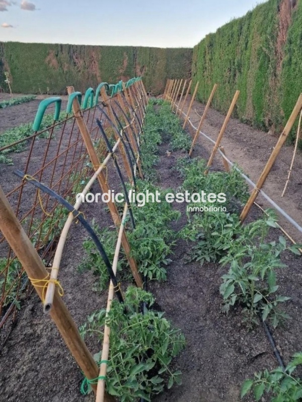 Gran finca rústica con casa a solo 400 metros de la playa