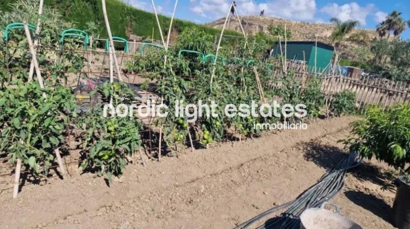 Gran finca rústica con casa a solo 400 metros de la playa