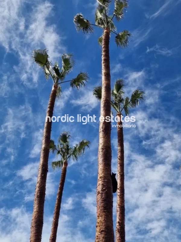 Gran finca rústica con casa a solo 400 metros de la playa