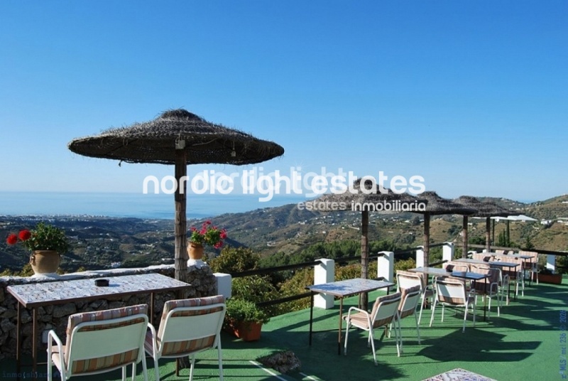 Unique estate, house and thriving business