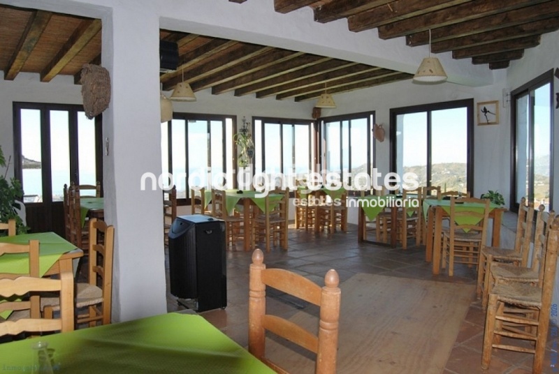 Unique estate, house and thriving business