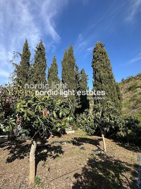 Estupenda casa de campo con un terreno de 6.000m2