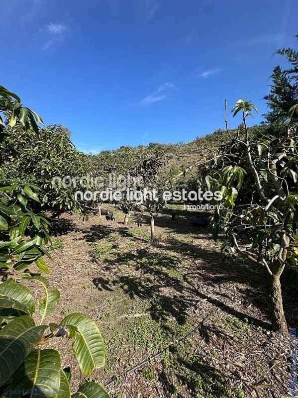 Estupenda casa de campo con un terreno de 6.000m2